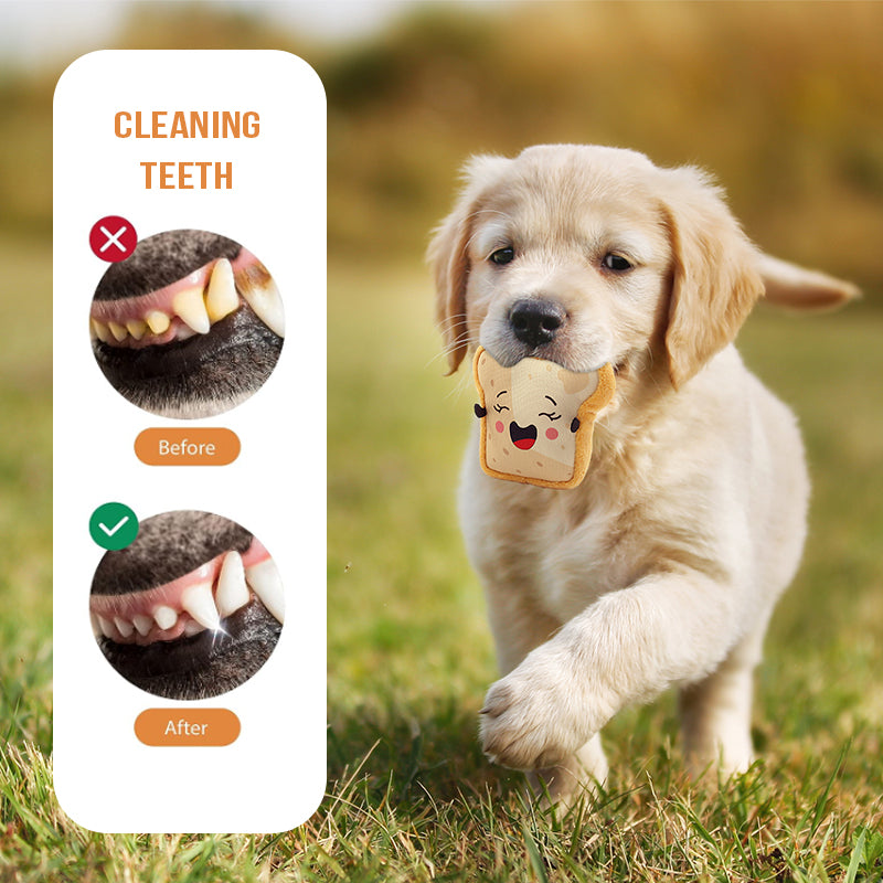 🍞Hapoo Plush Toast Dog Toy – Squeaky, Durable & Teeth Cleaning Fun