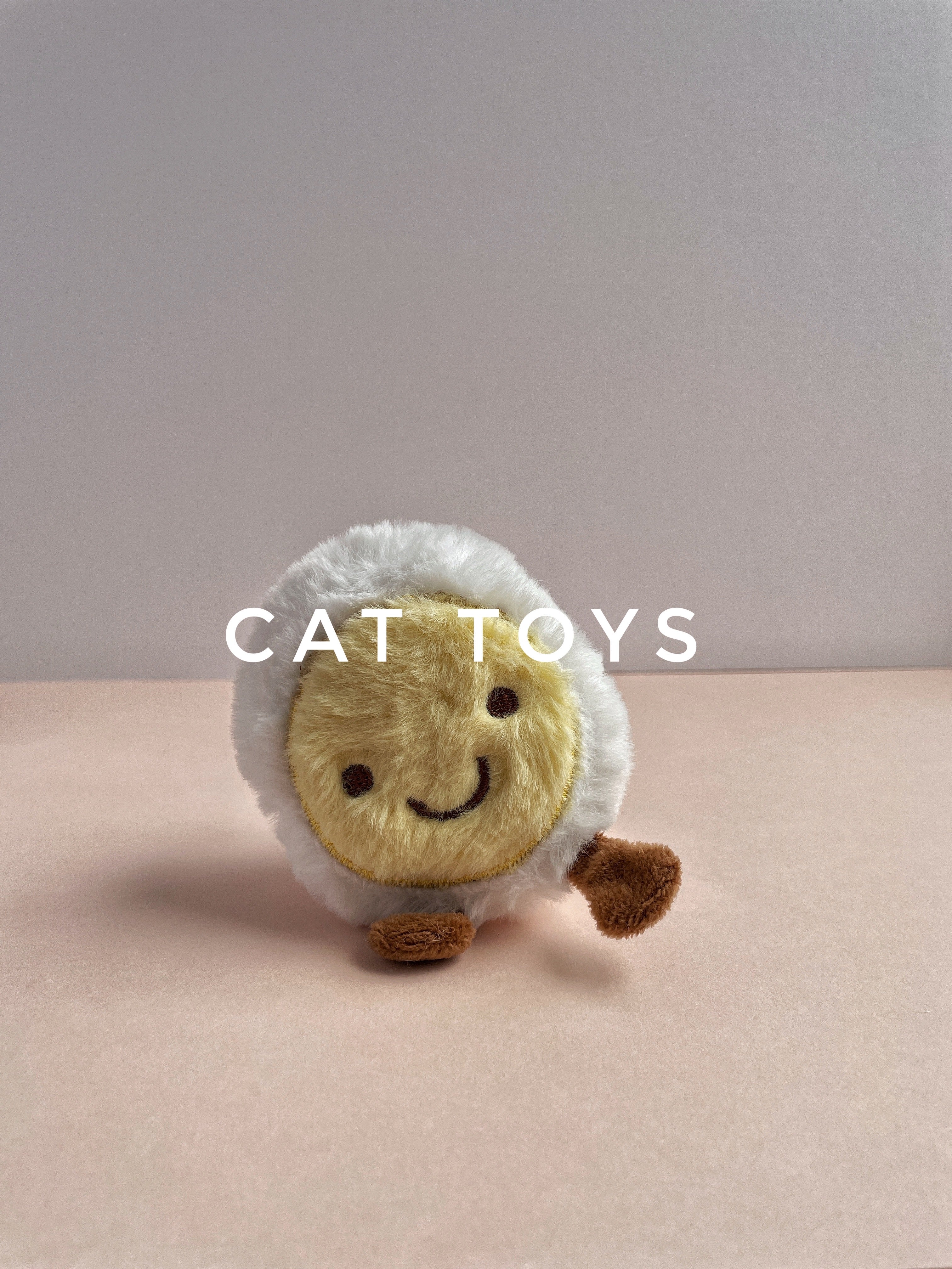 Cat Toys