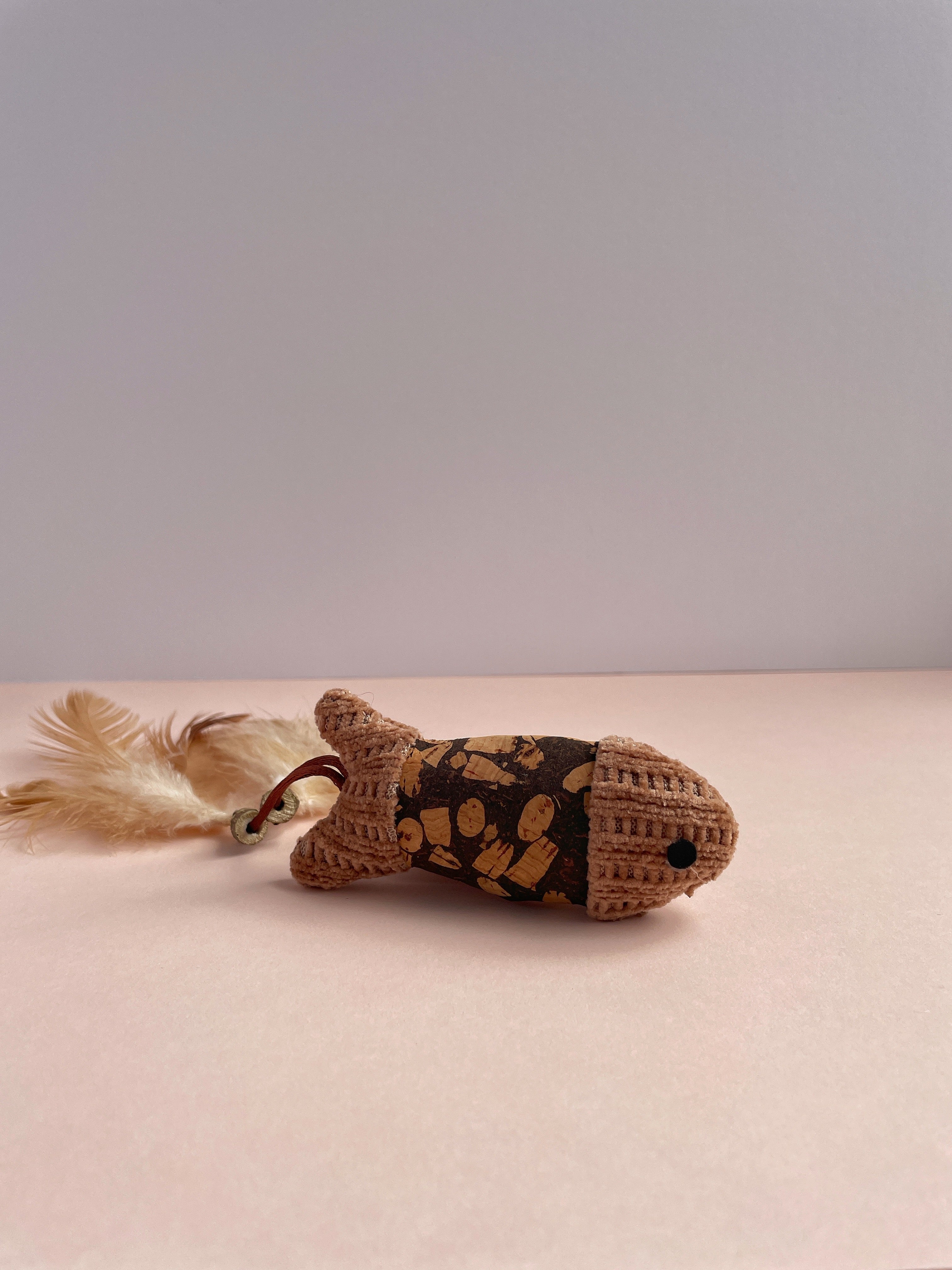 Fish Cat Toy