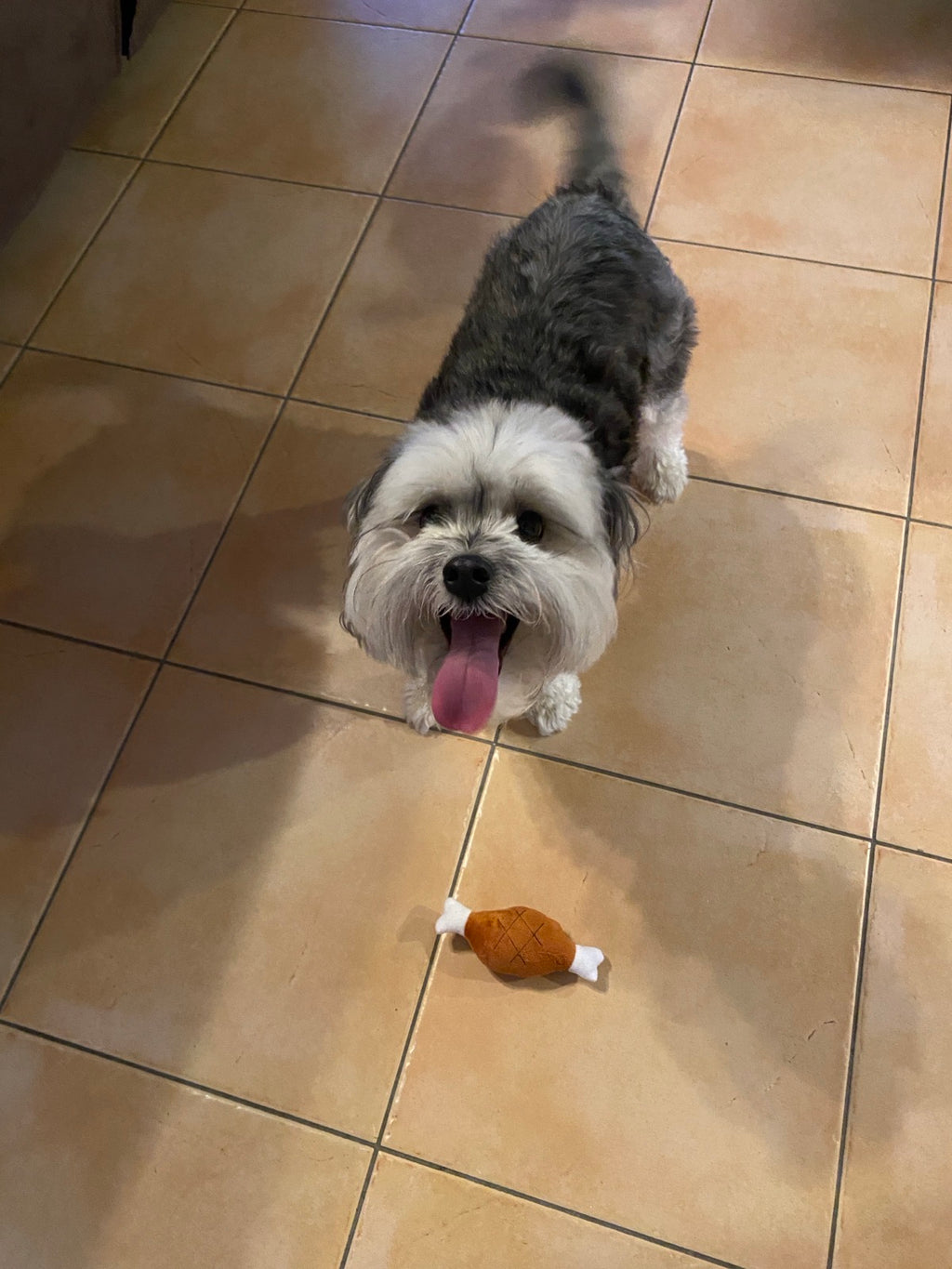 Drumstick Dog Toy