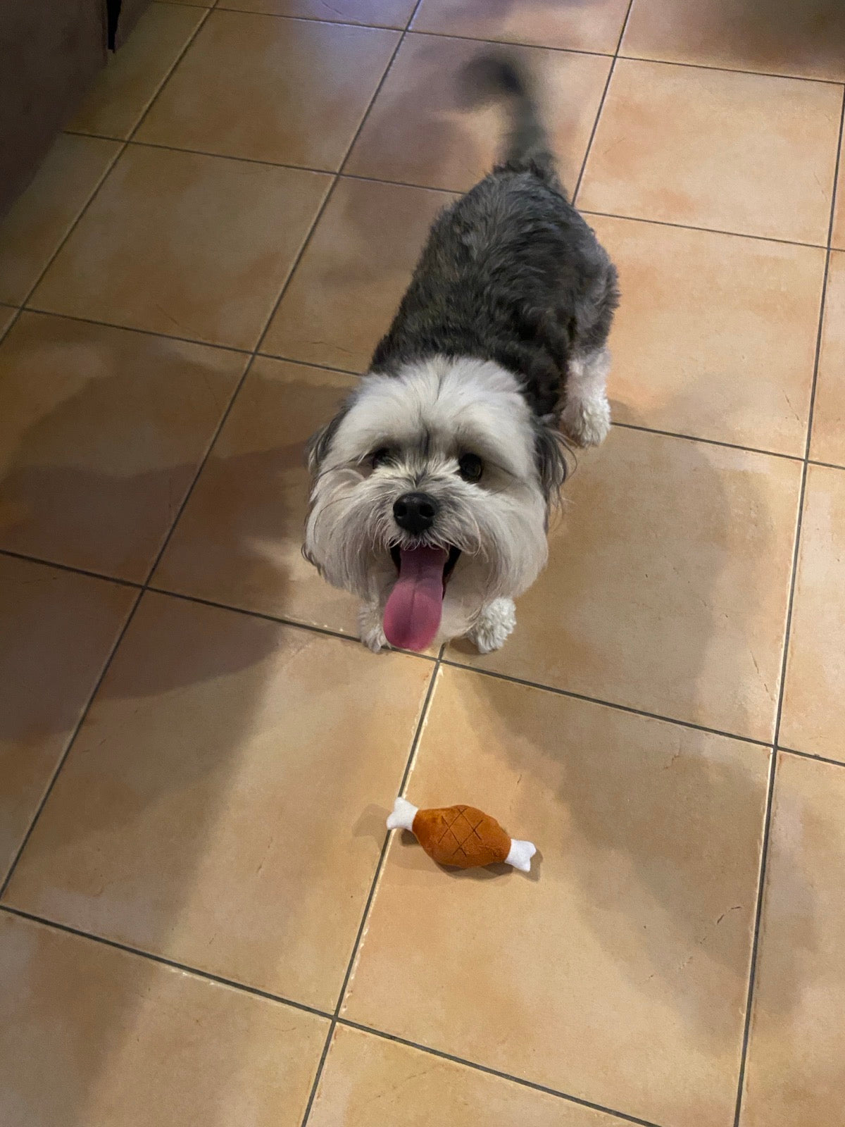 Drumstick Dog Toy