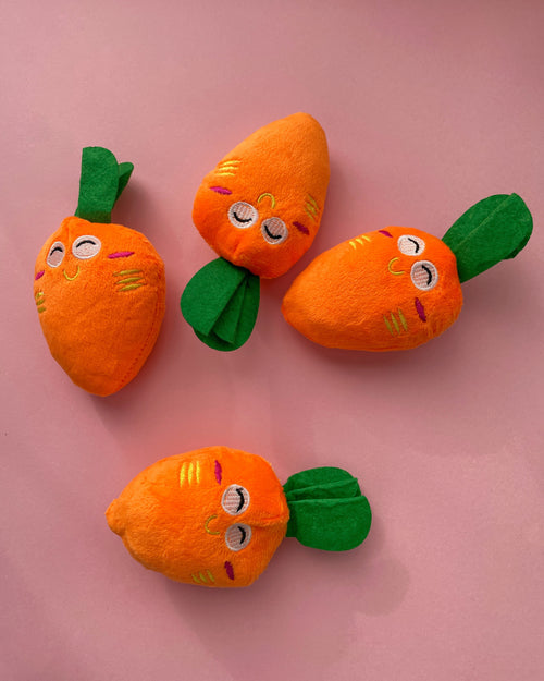 Carrot Dog Toy